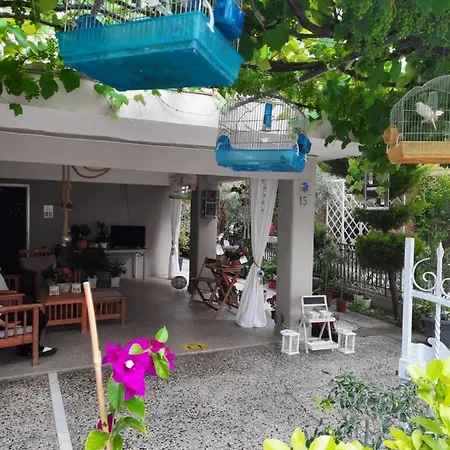 Nopi Apartment *