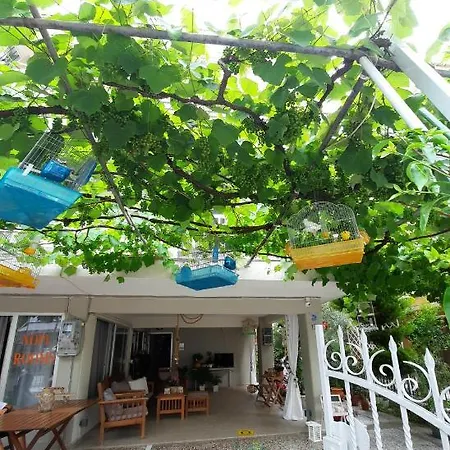 Nopi Apartment Olympiaki Akti
